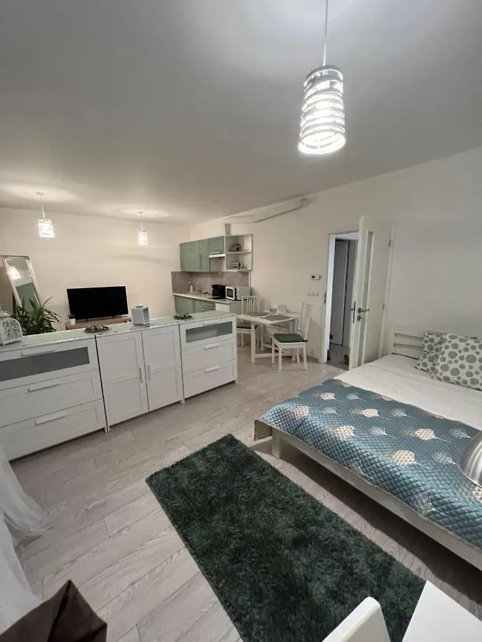 Free Parking In Garage Karolina Plazza, New Cosy Studio With All You Need Prague 0*,  Czech Republic